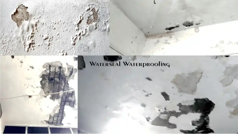 आंतरिक दीवारों (Interior Walls) में नमी की समस्या