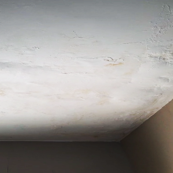 छत और सीलिंग (Ceiling) की जाँच करें - Is Your Home Waterproof?